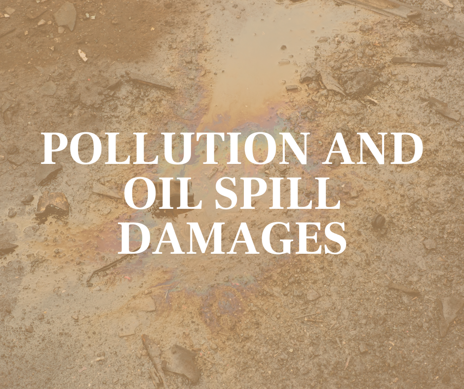 Pollution and Oil Spill Damages